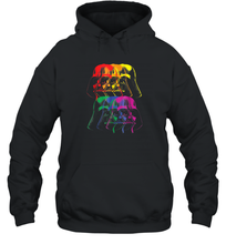 Load image into Gallery viewer, Star Wars Darth Vader Rainbow Darkside Pride Graphic Unisex Hooded Sweatshirt